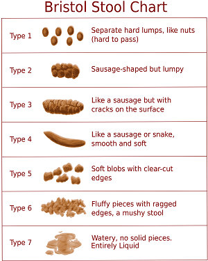 The Bristol Stool Chart